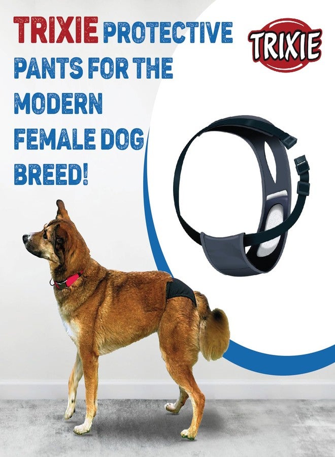 Trixie: - Protective Pants for Female Dogs | Designed for Dogs in The Season to Prevent Staining of Carpets & Other Fabrics | Handy Snap Clip Makes It Easy to Put On | Washable - S-M, 32-39 cm - Image 2
